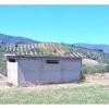Rif. 462 | Furnari | Locale deposito in zona agricola