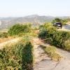 Rif. 490 | Basicò | Terreno agricolo panoramico con ruderi annessi