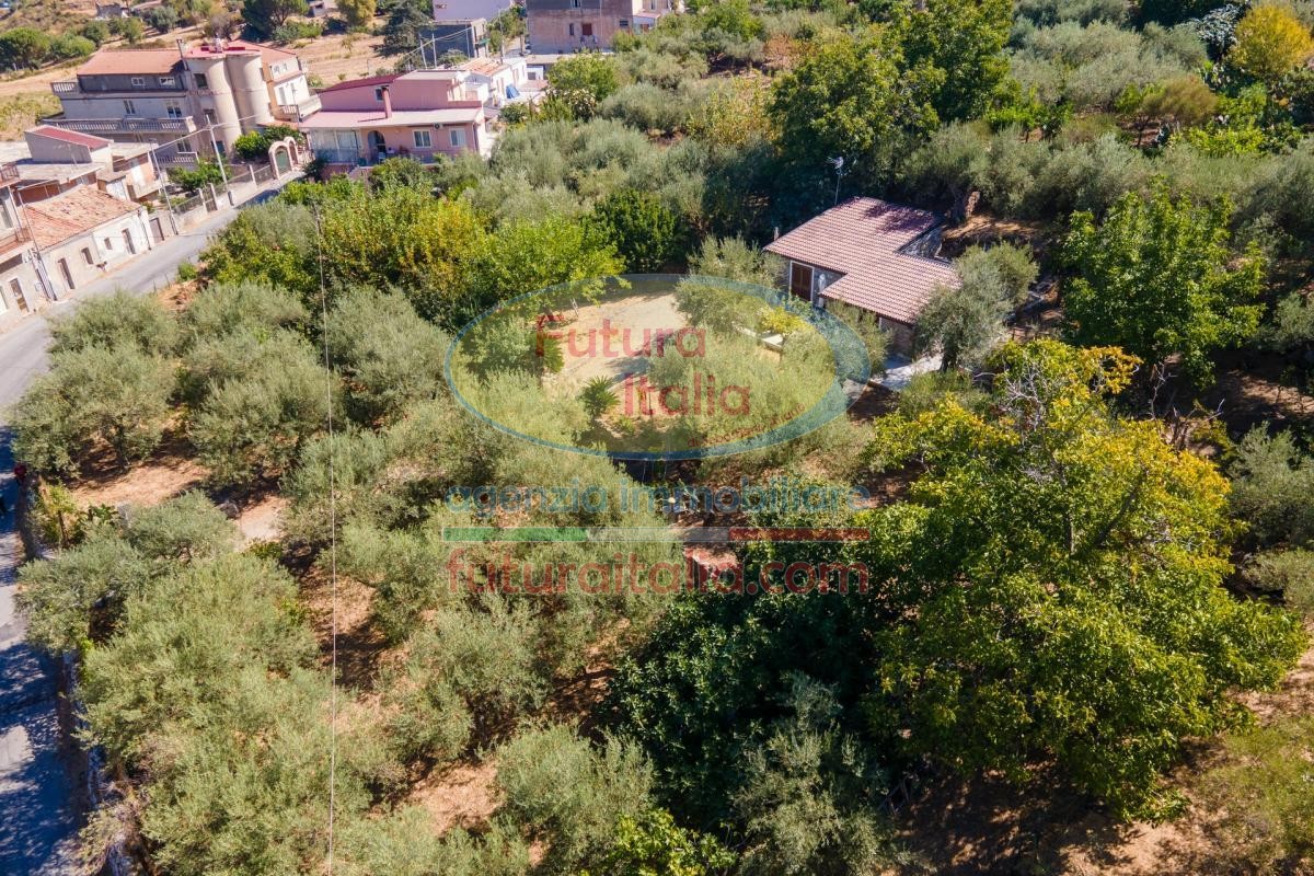 Rif. 541 | Tripi - Abakainon fraz. Campogrande | Casetta in pietra con uliveto privato, a pochi chilometri dal mare