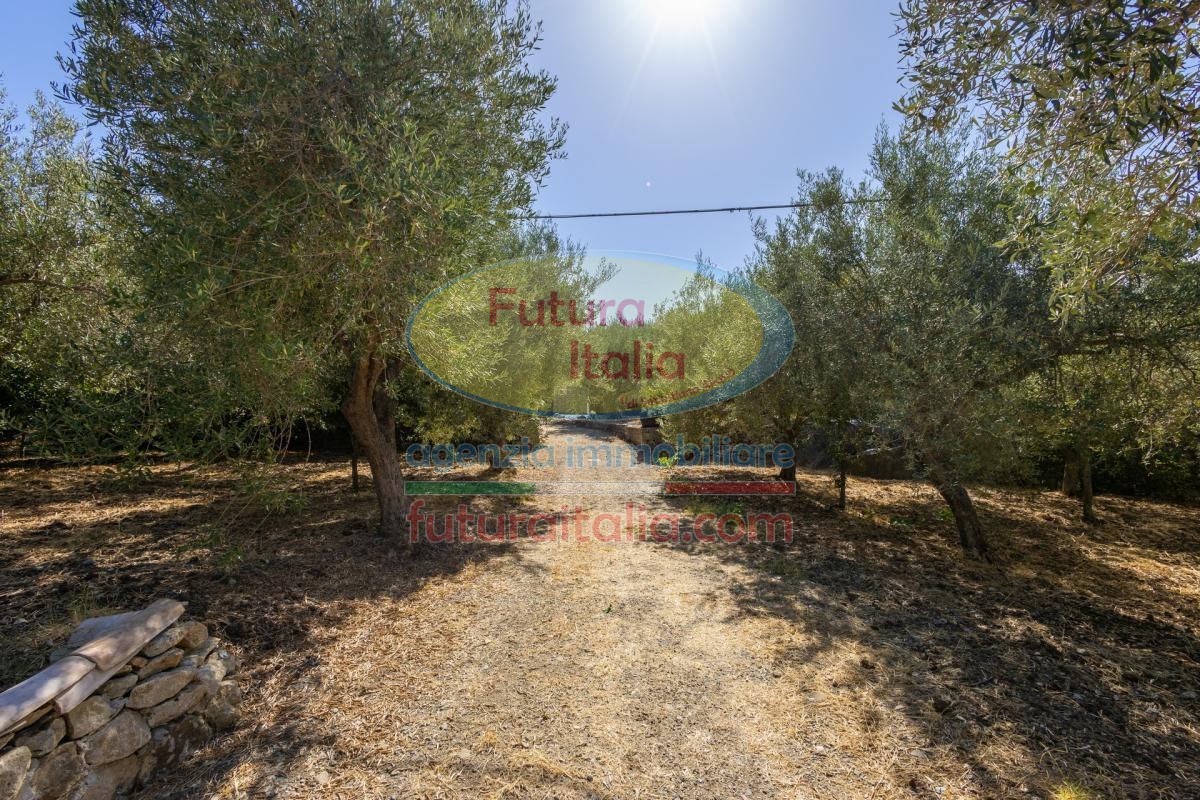 Rif. 541 | Tripi - Abakainon fraz. Campogrande | Casetta in pietra con uliveto privato, a pochi chilometri dal mare
