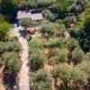Rif. 541 | Tripi - Abakainon fraz. Campogrande | Casetta in pietra con uliveto privato, a pochi chilometri dal mare