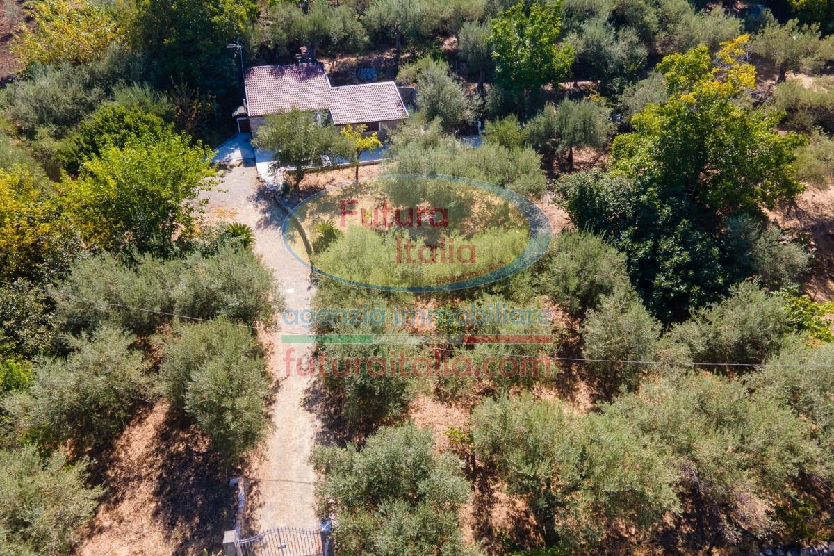 Rif. 541 | Tripi - Abakainon fraz. Campogrande | Casetta in pietra con uliveto privato, a pochi chilometri dal mare