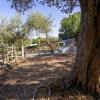 Rif. 541 | Tripi - Abakainon fraz. Campogrande | Casetta in pietra con uliveto privato, a pochi chilometri dal mare