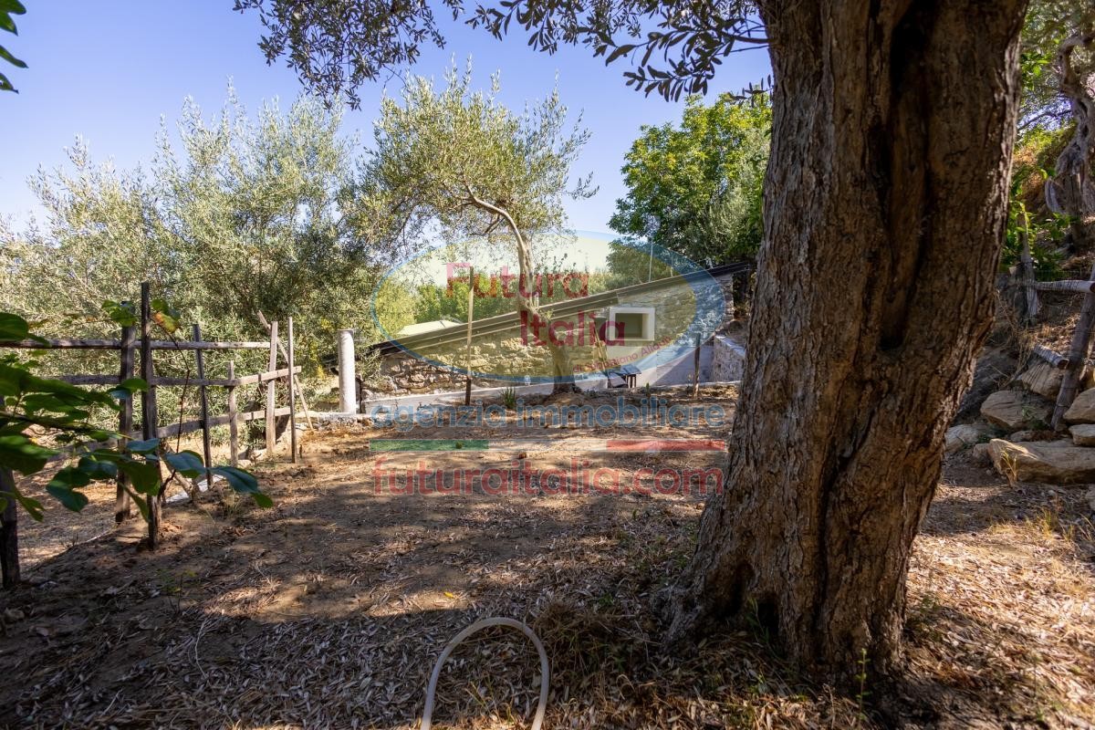 Rif. 541 | Tripi - Abakainon fraz. Campogrande | Casetta in pietra con uliveto privato, a pochi chilometri dal mare