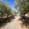 Rif. 541 | Tripi - Abakainon fraz. Campogrande | Casetta in pietra con uliveto privato, a pochi chilometri dal mare