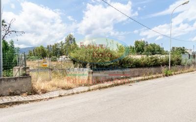 Rif. 488 | Portorosa | Terreno agricolo zona mare