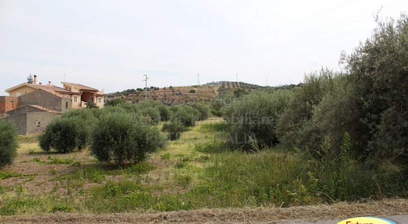 Rif. 349 - Terme Vigliatore - Terreno con ruderi in VENDITA Rif. 349 - Terme Vigliatore - Terreno con ruderi in VENDITA