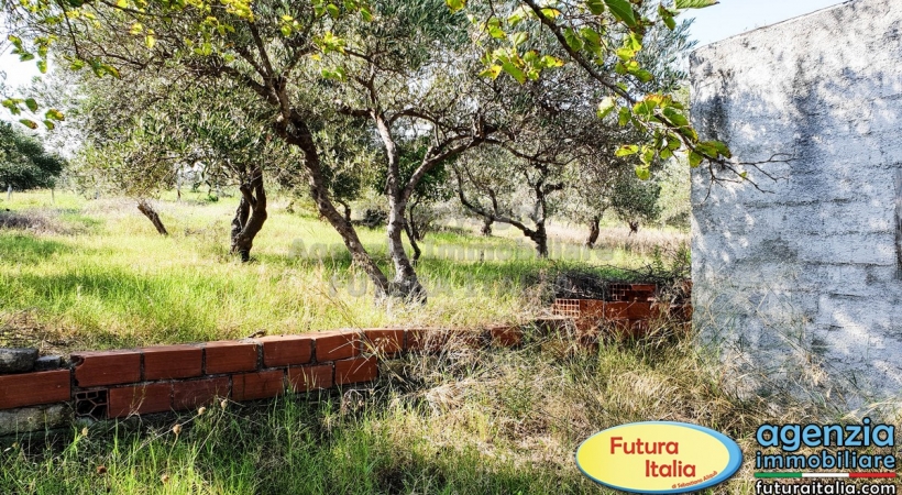 Rif. 463 - Furnari - Ampio terreno agricolo con depositi annessi in VENDITA Rif. 463 - Furnari - Ampio terreno agricolo con depositi annessi in VENDITA
